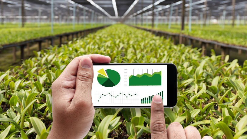 João Eustáquio De Almeida Junior: impulsionando a produtividade agrícola com sensores e drones inovadores.